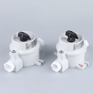 China Industrial Explosion-Proof Lighting Switch Single & Double Anti-Corrosion Wall Switch 10A 16A wall electric switches on sale