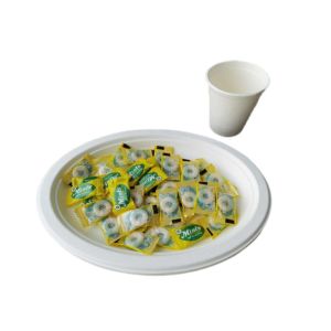 10 Inch 17g Eco Friendly Sugarcane Paper Plates