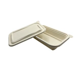 Thermoforming Biodegradable Plastic Sheet Polylactic PLA Disposable Food