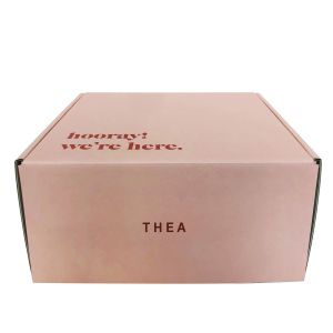 CMYK Color Carton Mailer Shipping Boxes Exquisite Craft Paper Box Packaging