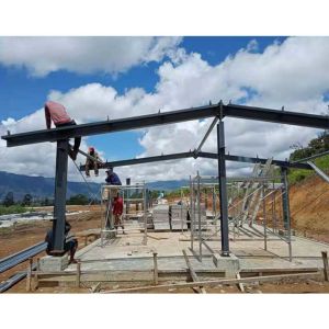 Customized Design Steel Chicken House Poultry Farm Prefab House