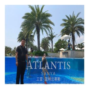 Modular Window and Acrylic Panels Plastic Sheets for Customer's Demand Swimming