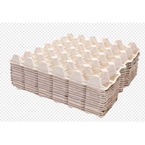 4000Pcs / H Energy Saving Paper Egg Tray Machine / Pulp Molding Equipment