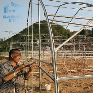 Agriculture Cucumber Chili Single Span Tunnel Plastic Greenhouse With Shading