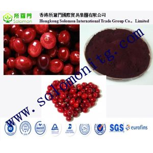 fruit powder cranberry juice powder factory priceCranberry extract Cranberry