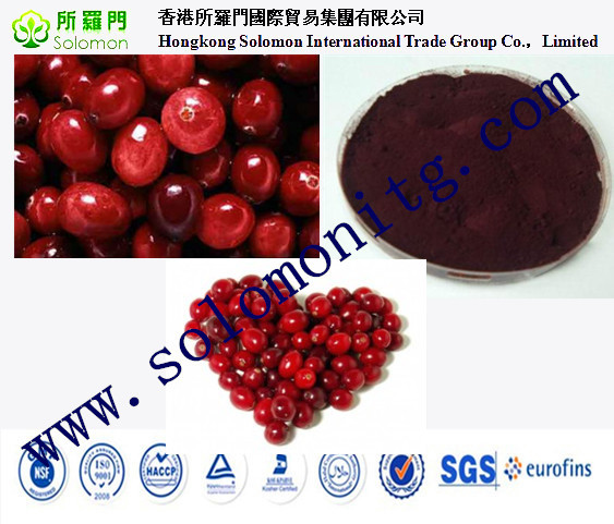 fruit powder cranberry juice powder factory priceCranberry extract Cranberry
