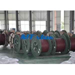 ASTM A213 TP309S / 310S stainless steel coil pipe , stainless coil tubing