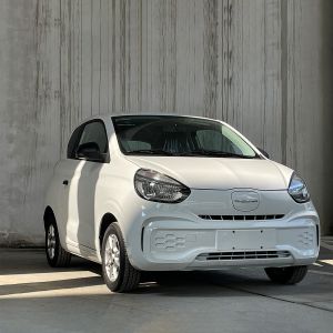 Two Seaters Mini Cars Roewe CLEVER MINI Electric Cars Adults with 311km Long