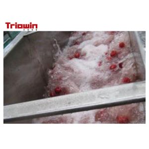 Raspberry Processing Machine Raspberry Beverage Processing Line concentrated