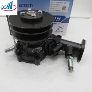 Carton Packing Truck Spare Parts Water Pump Assembly 1307100BA06-CS9A