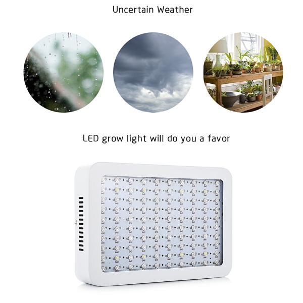 80W 5950LM Indoor LED Grow Lamp 100 degree Beam Angle With Hanging Hook Steel String