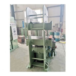 Hydraulic Press Rubber Mold Vulcanizer Machine for Auto Rubber Handle Lever