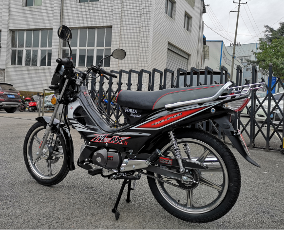 Single cylinder hot sale 4 Stroke moped 110cc motorcycle
