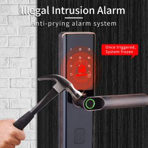 Euro Intelligent Door Lock Tuya Biometric Fingerprint Lock Black