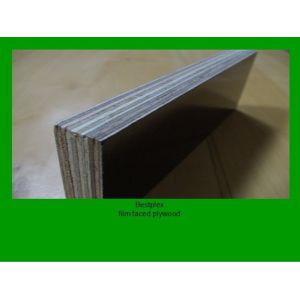 Quality film faced plywood for sale
