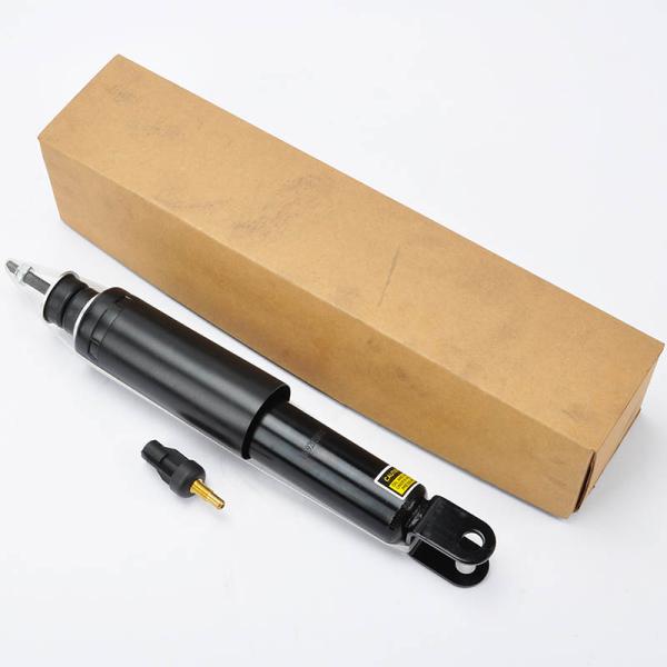 22187159 Front Air Struts