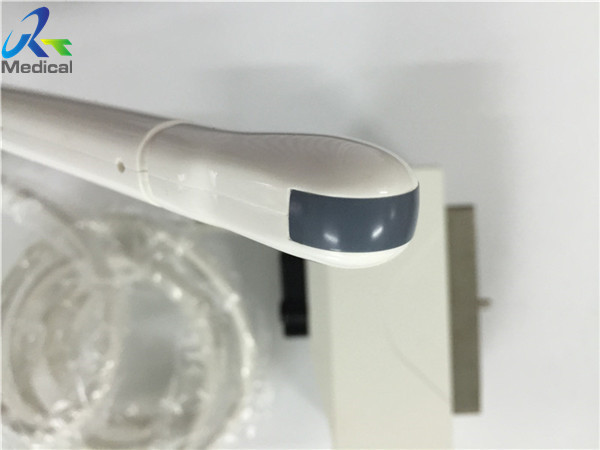 Buy 10mm Convex Ultrasound Transducer , Convex Probe Ultrasound EC1123 at wholesale prices