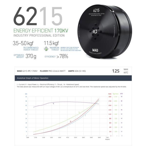 6215 IPE Agriculture Brushless DC Motor For Farm Equipment