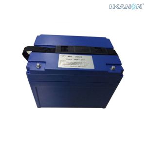 China Electric Bicycle 48v Battery Pack 300mah 26650 Cell With Abs Plastic Box on sale