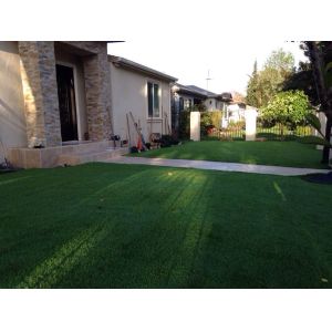 25mm Lush Green Garden Artificial Grass Carpet Multi Functional