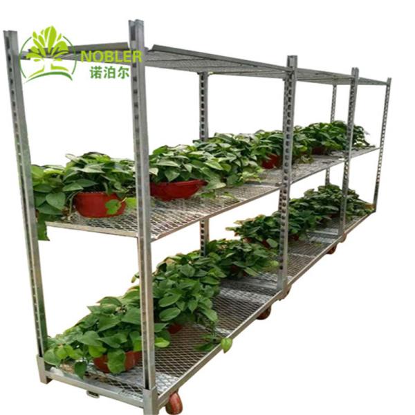 Buy hot Galvanizing Pullnet Flower Trolley 1500*565*1900 at wholesale prices