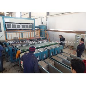Natural Gas Pulp Molding Machine , Rotary Egg Tray Making Machine