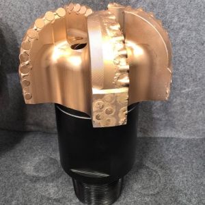 Quality Efficiently Designed PDC Drill Bits For Soft To Medium Shale Sequences With Low Abrasiveness Color for sale