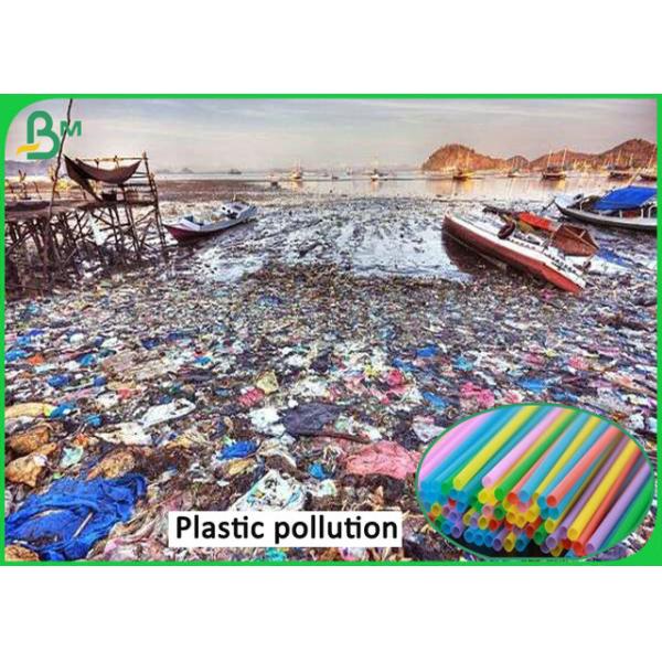 Food Grade Paper Roll / Colored Straw Paper Smooth Surface 60g 80g 120g Food Grade Paper Roll / Colored Straw Paper With Custom Size