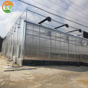 2021 Multi-Span Polycarbonate Invernadero Garden Greenhouse for Agriculture