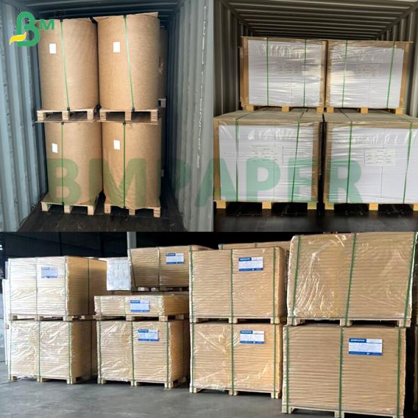 250g 270g Freeze-proofing Moistureproof White Top Coated Kraft Coard For Frozen Food Packaging 250g 270g Freeze-proofing Moistureproof White Top Coated Kraft Board For Frozen Food Packaging