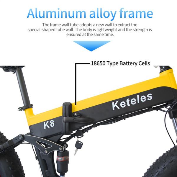 Wholesale China factory light weight electric bike folding bicycle