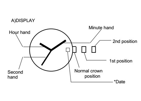IP Gold Stainless Steel Automatic Watch With Transparent Back Screw SS Crown