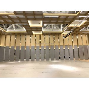 Adjustable Height Moveable Event Partition Wall Panels Eco Friendly