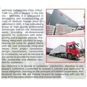 Modern Design Shipping 20ft 40ft Prefab Container House 4 Bedroom Modular Villa