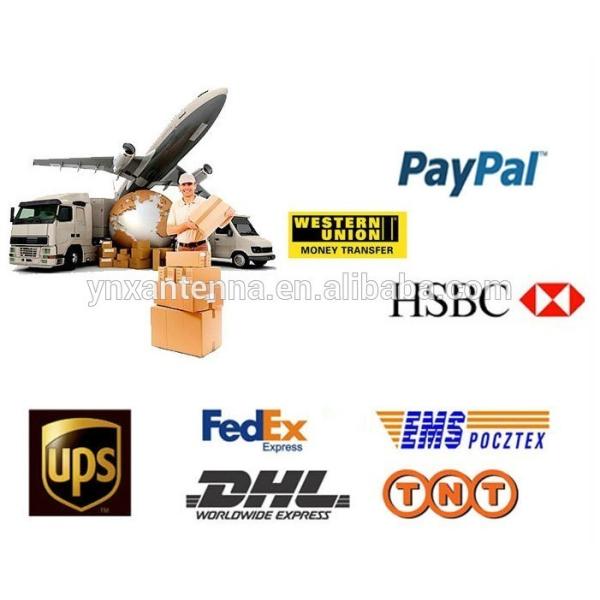 VSWR 1.5 4 Section Stainless Steel AM FM Radio Antenna with 3.5mm Jack Connector