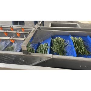 Belt Type 2T/H Vegetable Fruit Washing Machine High Pressure Spray Washing