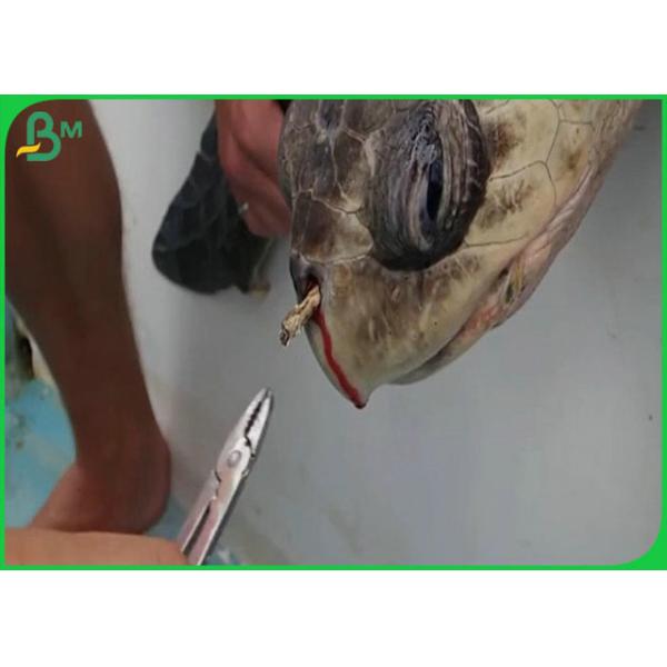 food grade straw paper 60gsm 120gsm Safe Harmless Food Grade Straw Paper Roll For Drinking Straws