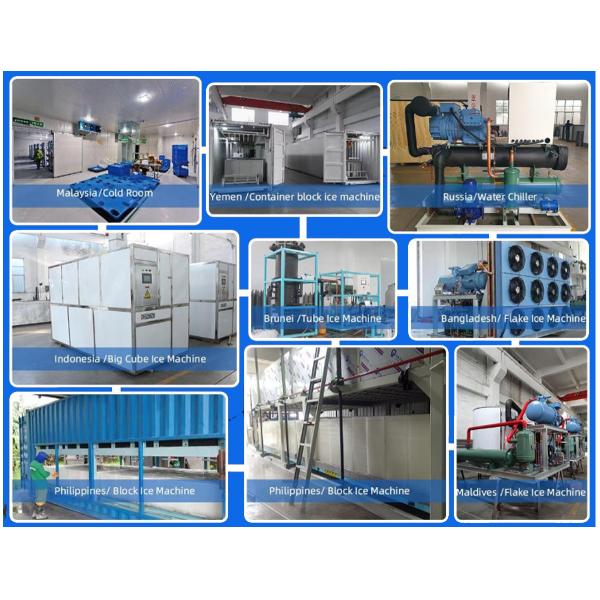 300kg/24h Output Cube Ice Maker Stainless Steel Suitable for Alcoholic Beverages