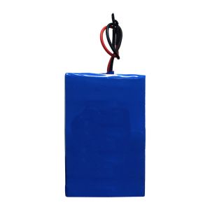 18.5V 4800mAh 18650 Rechargeable Lithium Battery NMC Deep Cycle