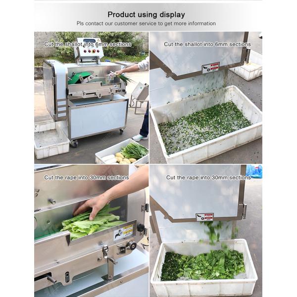 Double head vegetable cutting machine papaya chieh qua pumpkin wax gourd Ginger Potato Carrot radish Taro Sweet potato Yam onion Greens Lettuce Cao