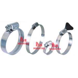 American hose clamp