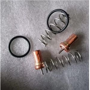 22393326 TD Industrial Compressor Parts Temperature Control Valve Component