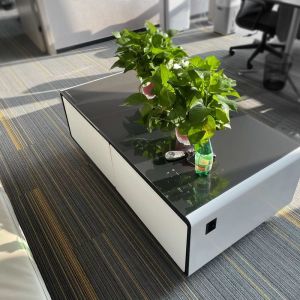 100-149L Capacity Smart Refrigerator With Wireless Charging and USB Type-C Port