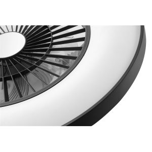 Ceiling Fan Light with Black Painting Frame(323115-8)