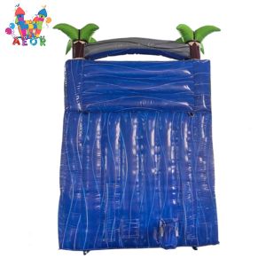 Inflatable Water Slide With Detachable Pool For Sale Waterslide