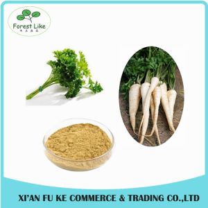 Parsley / die Peterselie / prezzemolo Extract Powder