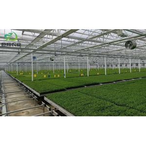 Wet Curtain Hydroponic Seedling Greenhouse with Customization and Package Size