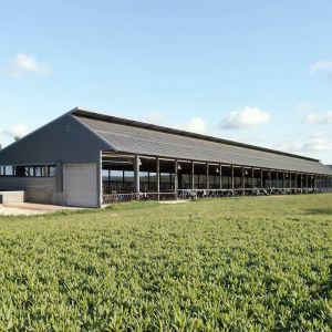 Weatherproof Prefabricated Steel Frame Farm Building Poultry House Easy Install