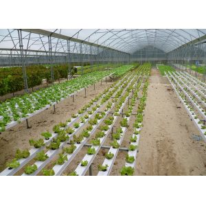 High Density Flat Commercial Nft Hydroponic Systems Nutrient Film Technique