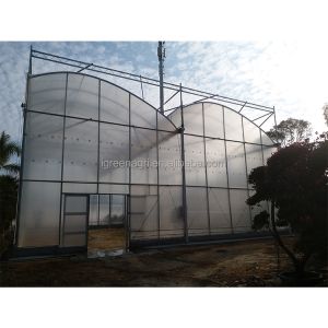 2-5m Shoulder Height High Tunnel Sawtooth Greenhouse for Commercial Plant